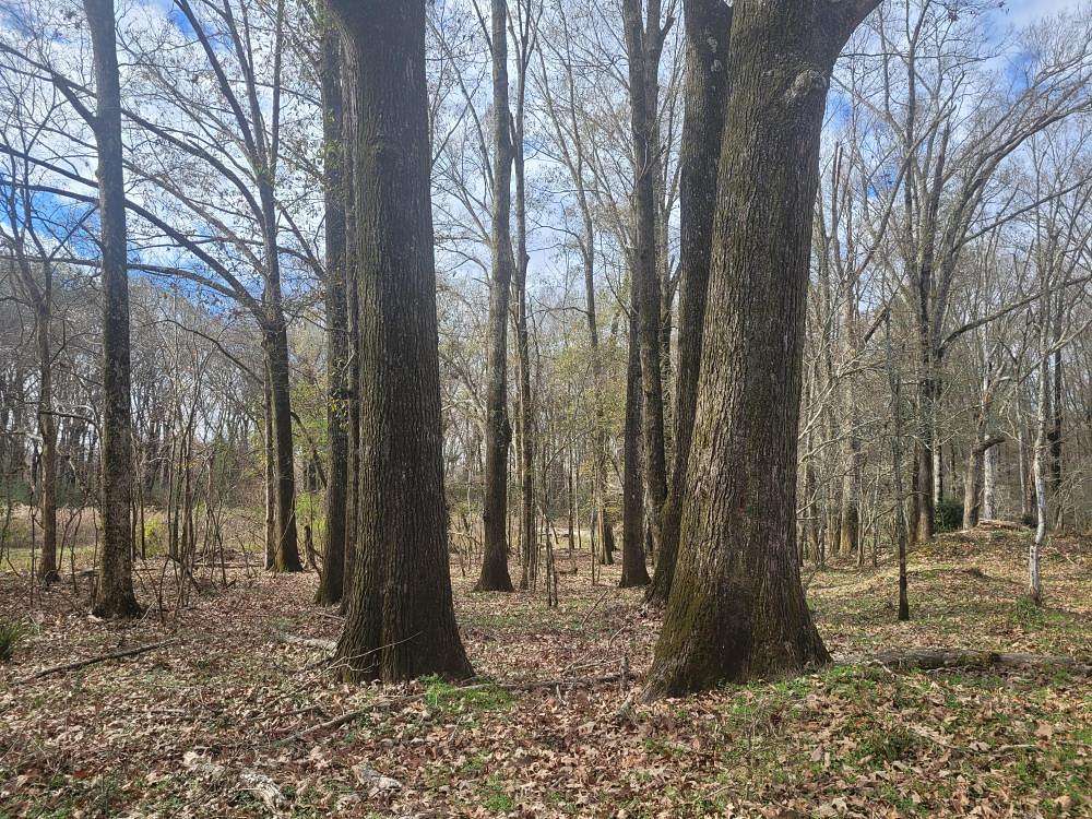 103 Acres of Recreational Land for Sale in Montgomery, Alabama