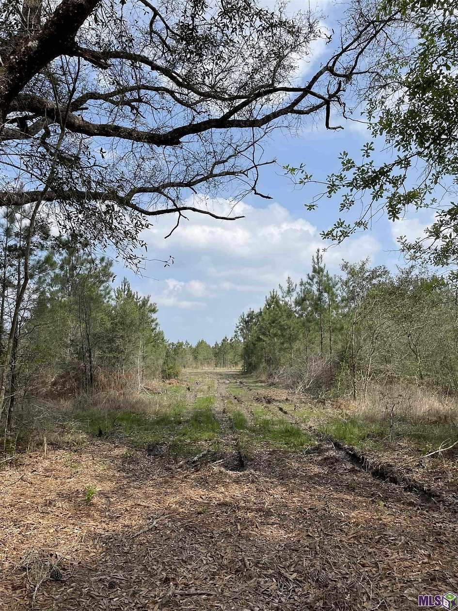 9.37 Acres of Residential Land for Sale in Holden, Louisiana