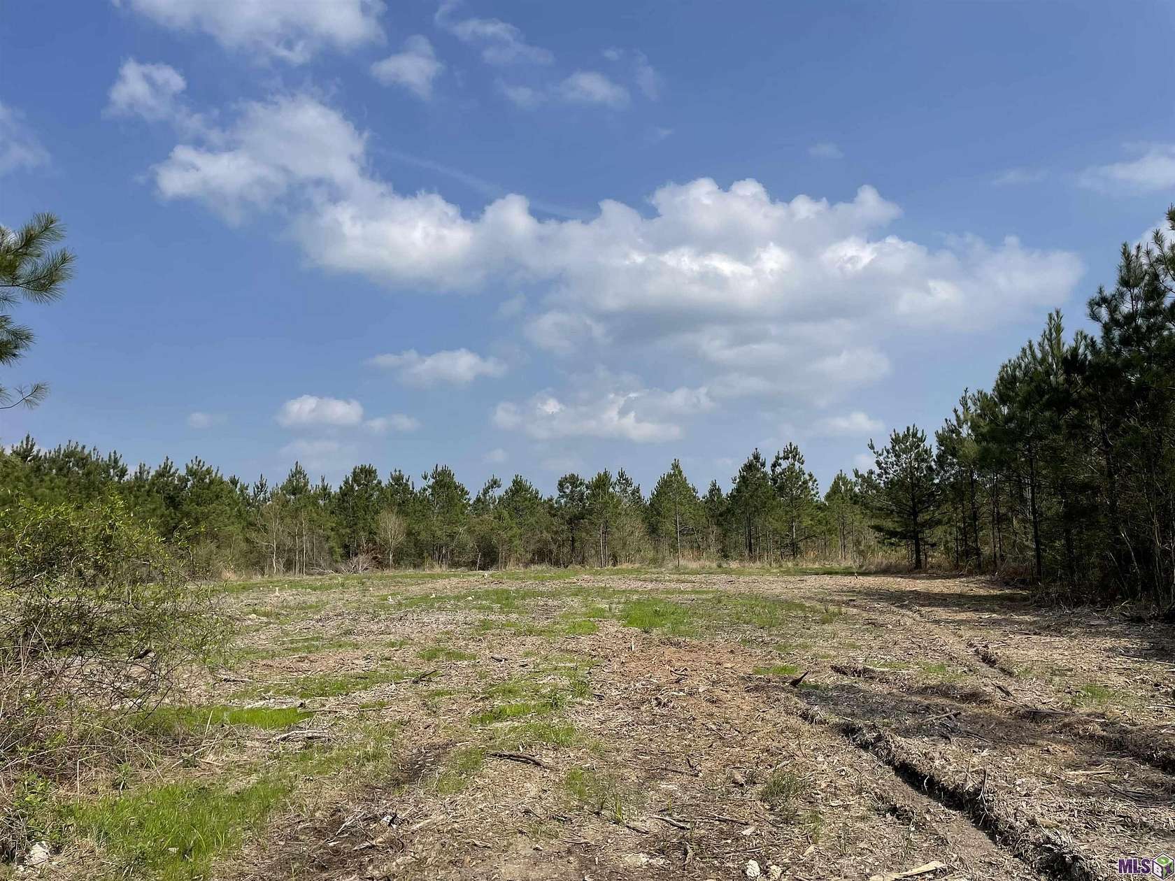 5 Acres of Residential Land for Sale in Holden, Louisiana