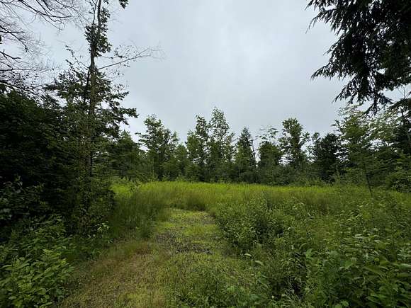 2 Acres of Mixed-Use Land for Sale in Industry Town, Maine