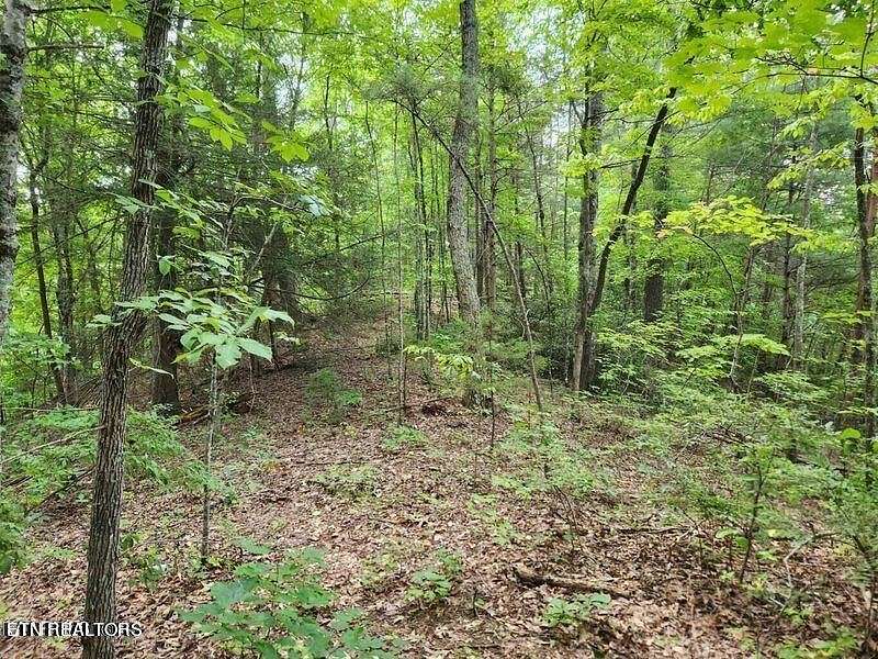 5.69 Acres of Residential Land for Sale in Sevierville, Tennessee