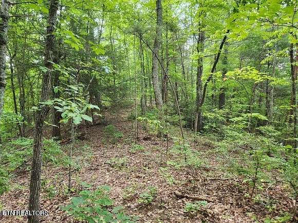 5.69 Acres of Residential Land for Sale in Sevierville, Tennessee