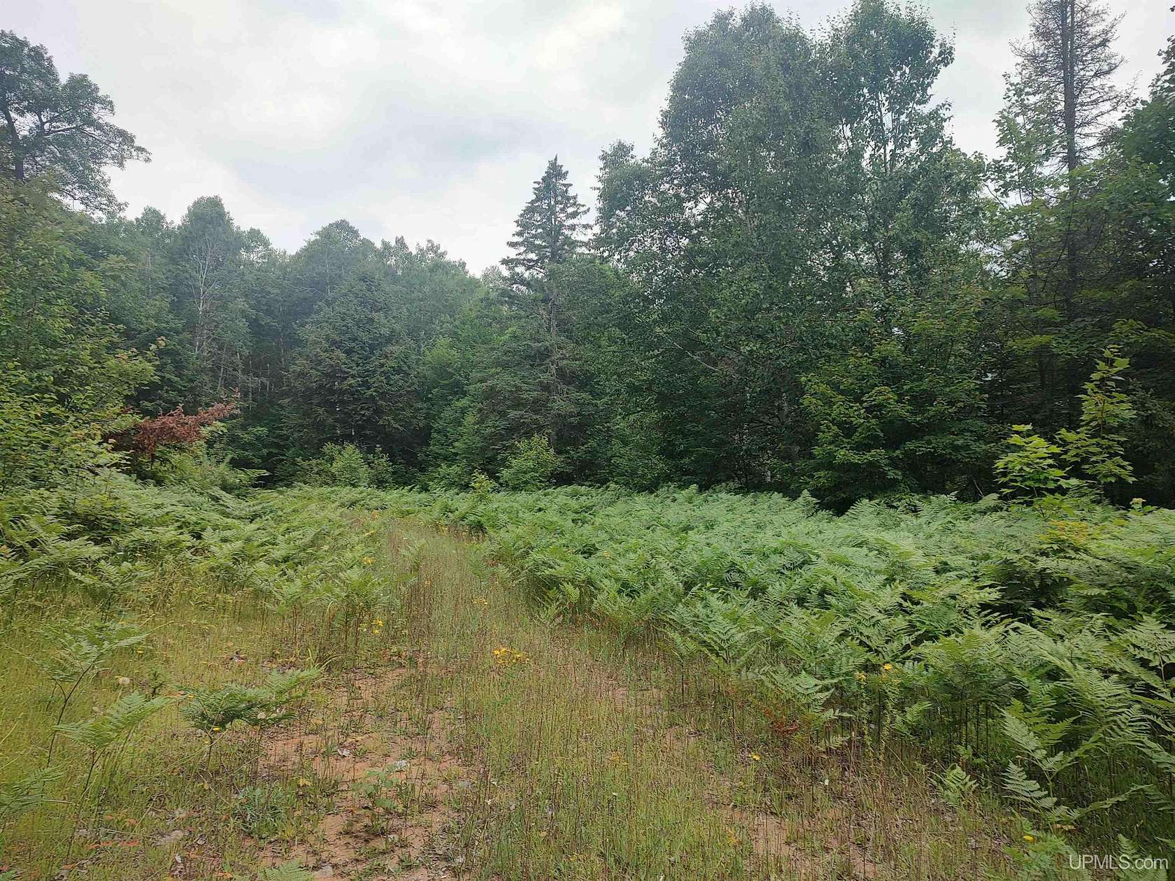 60 Acres of Land for Sale in Ishpeming, Michigan