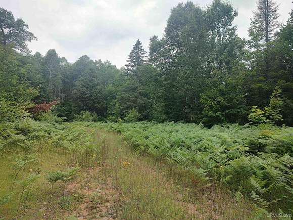 60 Acres of Land for Sale in Ishpeming, Michigan