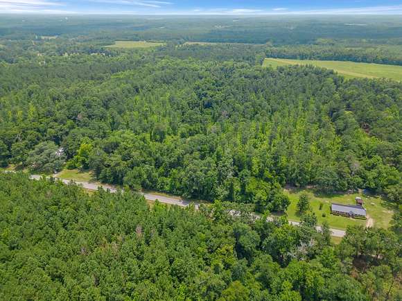 38.64 Acres of Recreational Land for Sale in Quincy, Florida