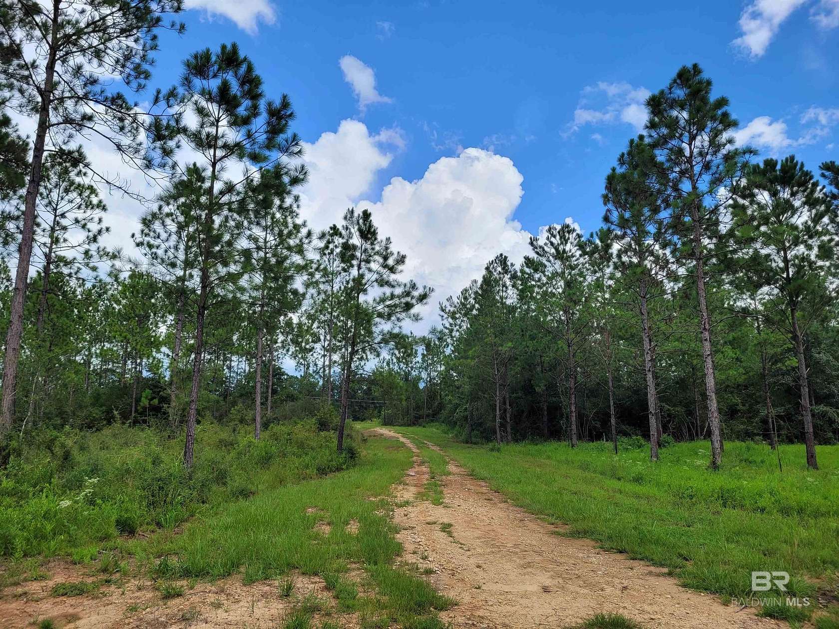 44.2 Acres of Recreational Land for Sale in Bay Minette, Alabama