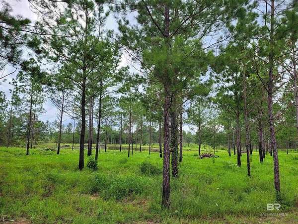 44.2 Acres of Recreational Land for Sale in Bay Minette, Alabama