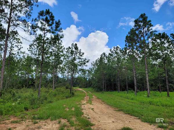 44.2 Acres of Recreational Land for Sale in Bay Minette, Alabama