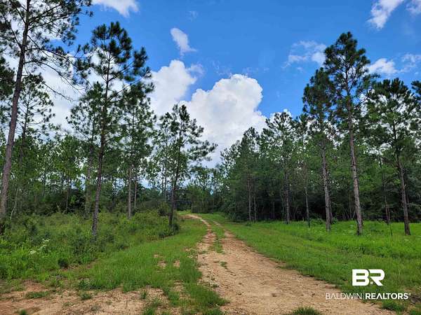 44.2 Acres of Recreational Land for Sale in Bay Minette, Alabama