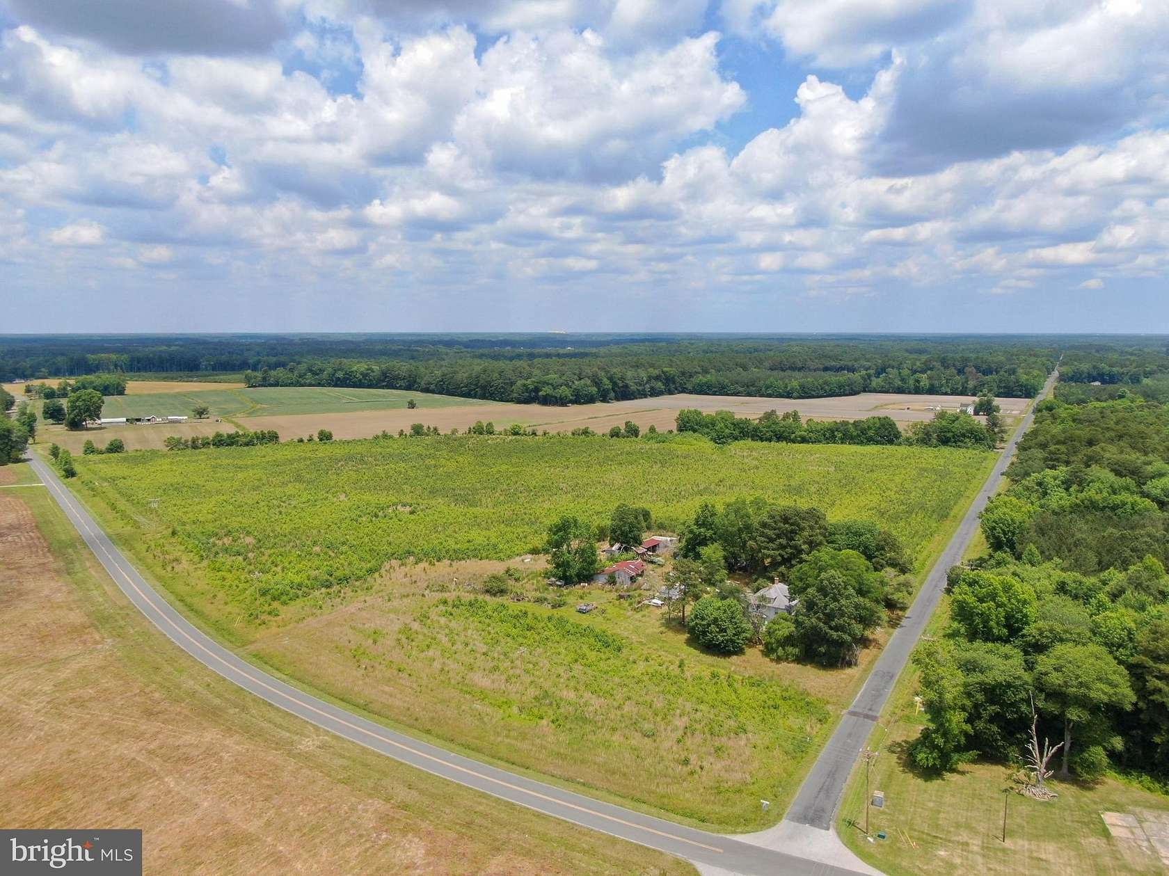 42.69 Acres of Land for Sale in Eden, Maryland