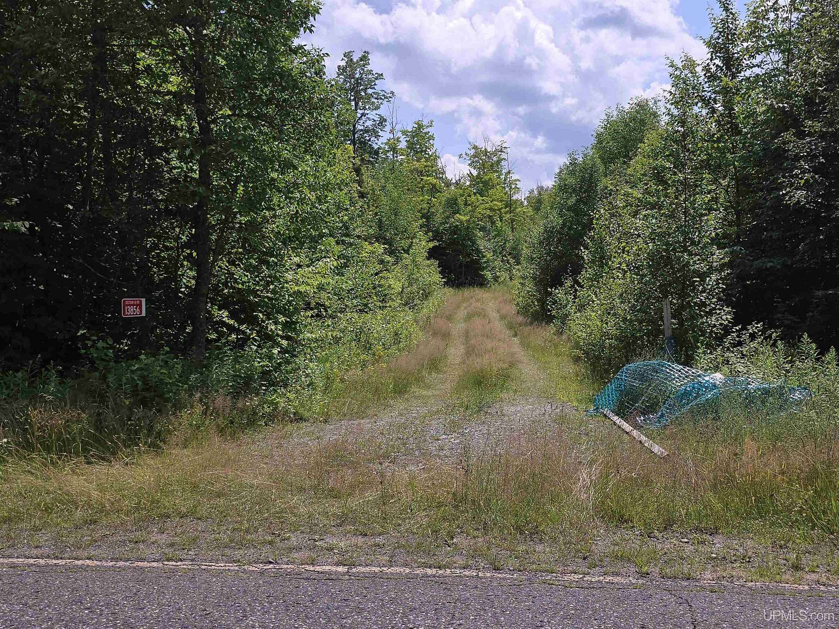 40 Acres of Recreational Land for Sale in Covington, Michigan