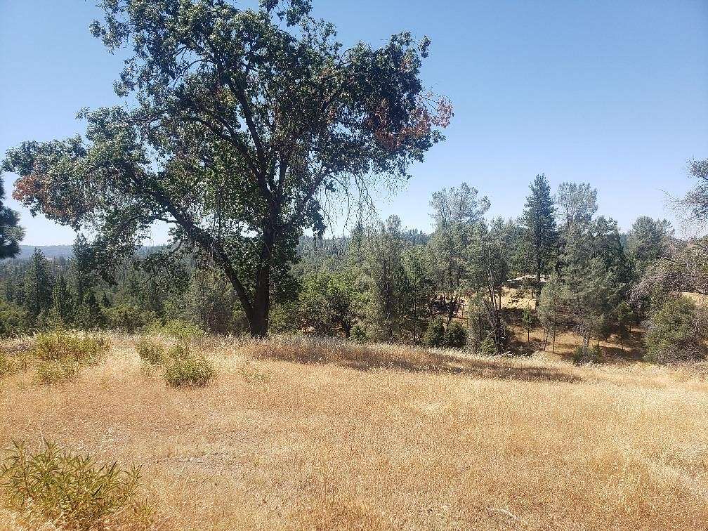 18.74 Acres of Land for Sale in Mountain Ranch, California