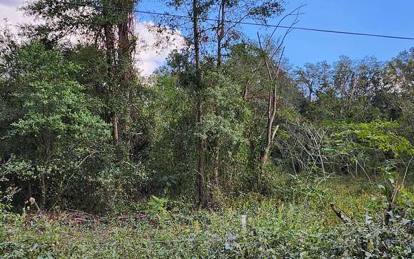 2 Acres of Residential Land for Sale in Live Oak, Florida