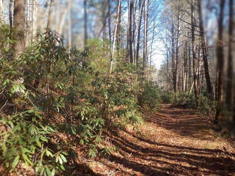 1.64 Acres of Residential Land for Sale in Blairsville, Georgia