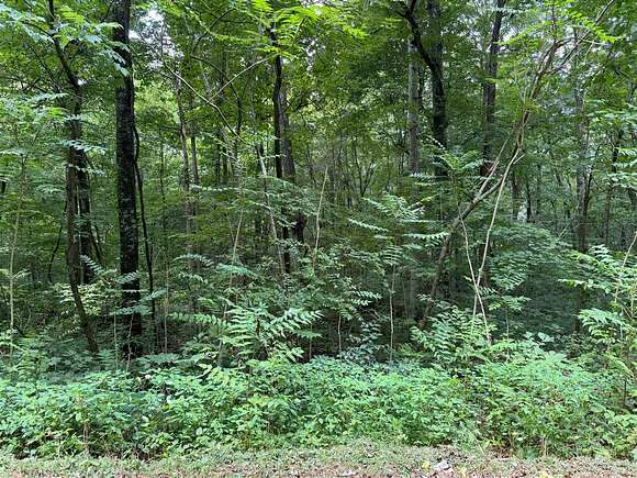 4 Acres of Land for Sale in Brownsville, Kentucky