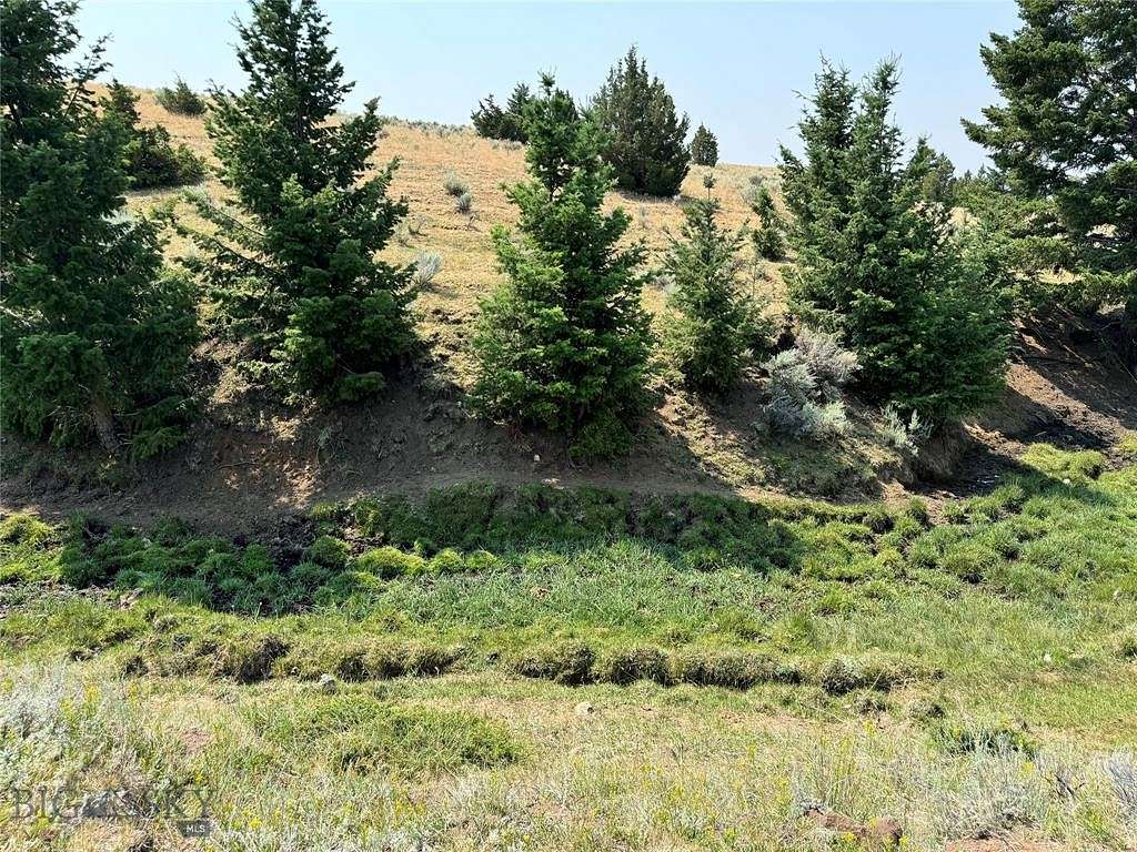 16.69 Acres of Land for Sale in Walkerville, Montana