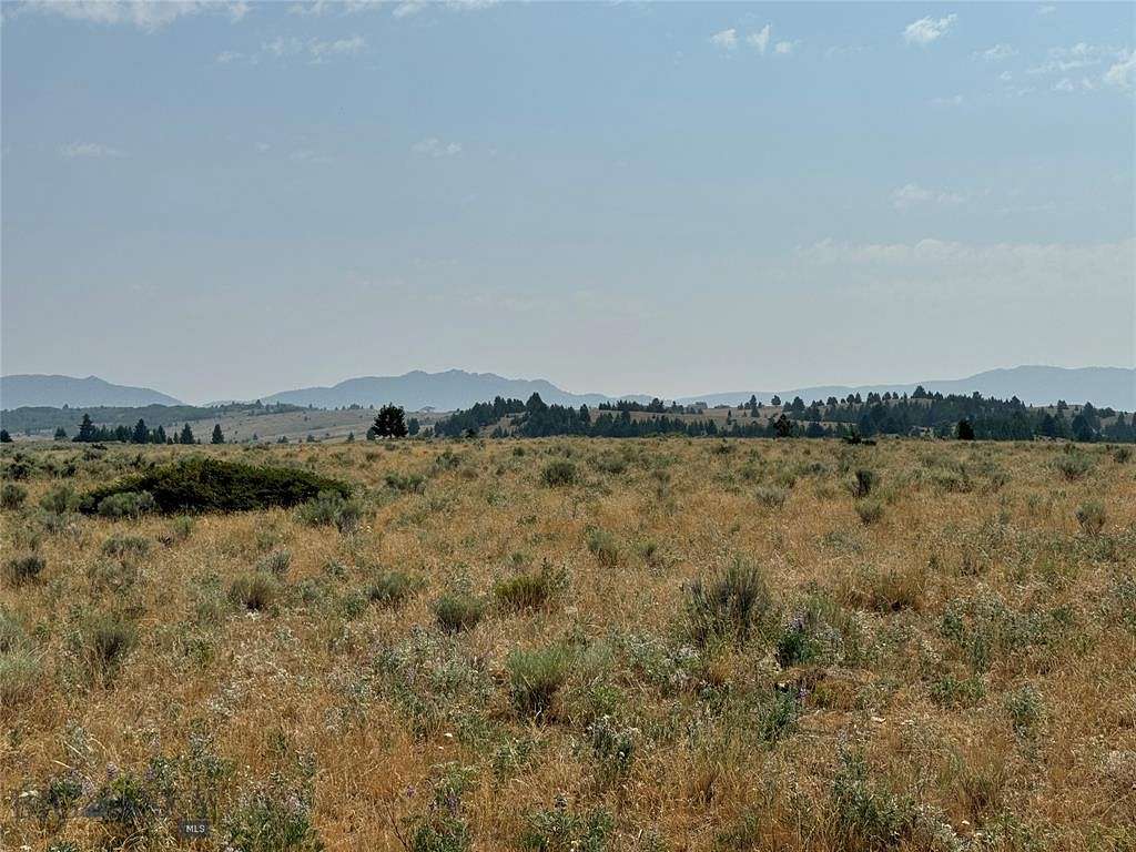 9.02 Acres of Land for Sale in Walkerville, Montana