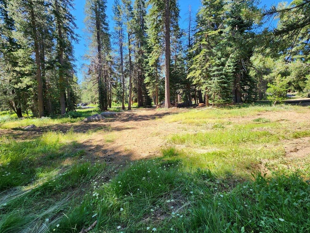 0.37 Acres of Residential Land for Sale in Bear Valley, California