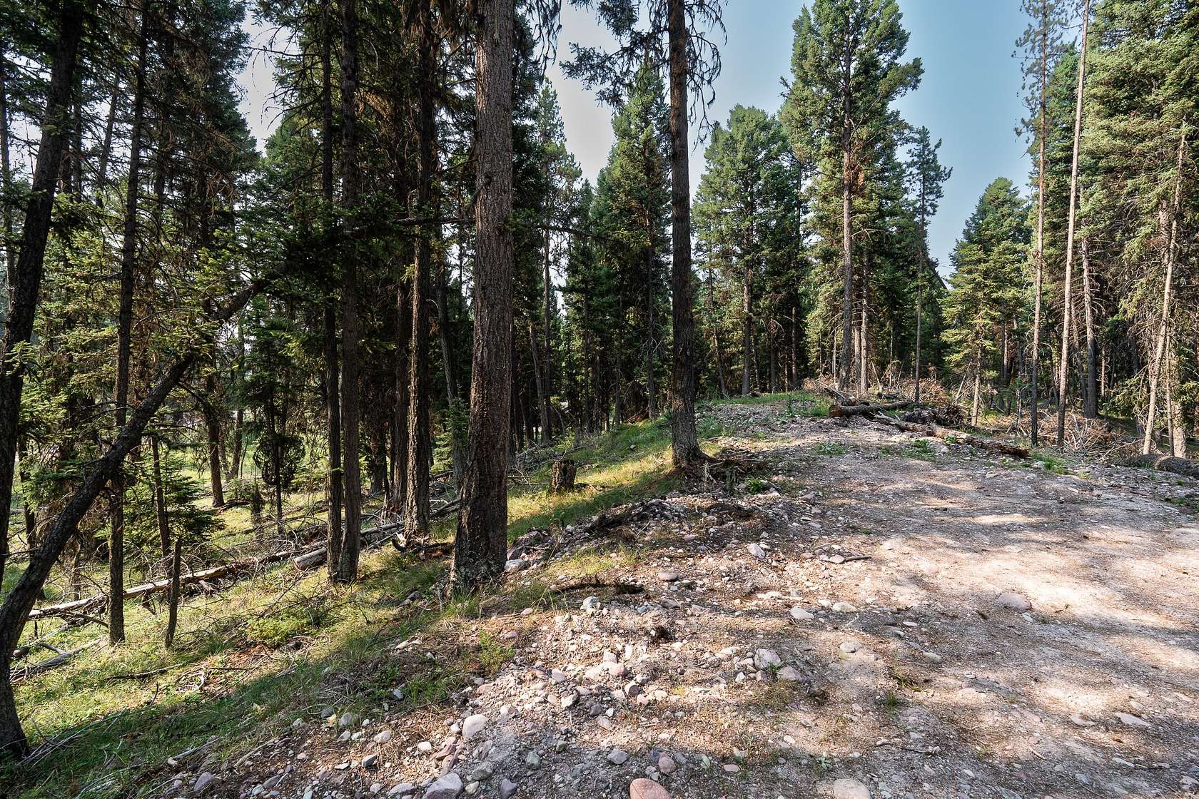 2.02 Acres of Residential Land for Sale in Seeley Lake, Montana