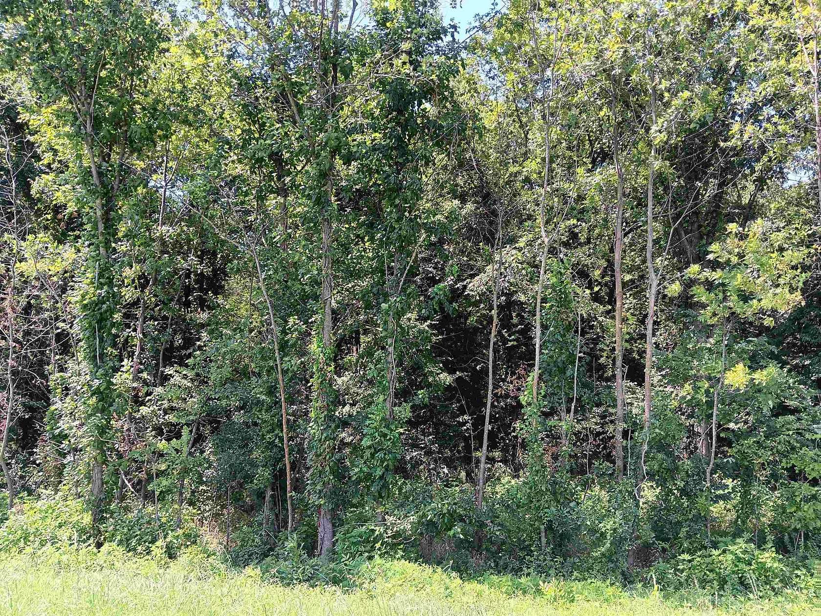 9.15 Acres of Land for Sale in Blackwell, Arkansas