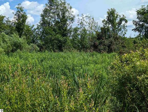 5 Acres of Land for Sale in Turner, Michigan