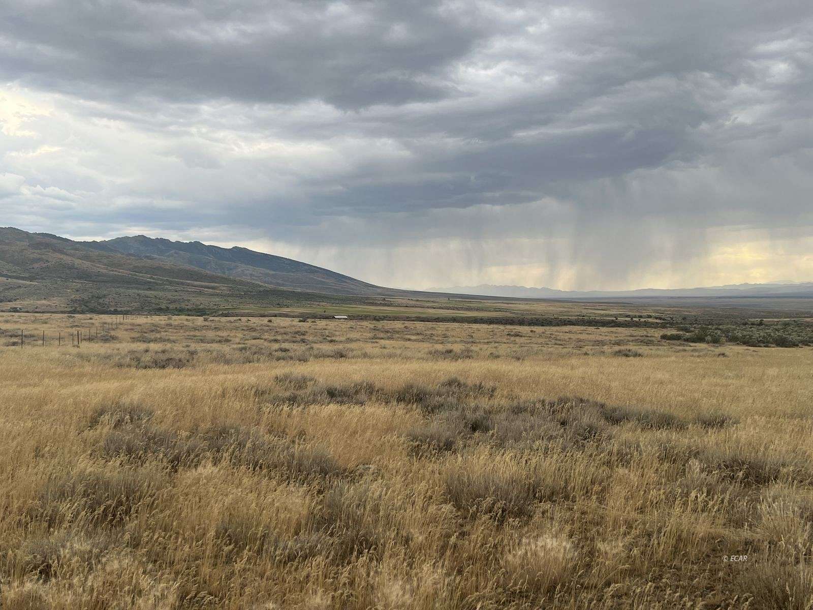 11.66 Acres of Land for Sale in Jiggs, Nevada