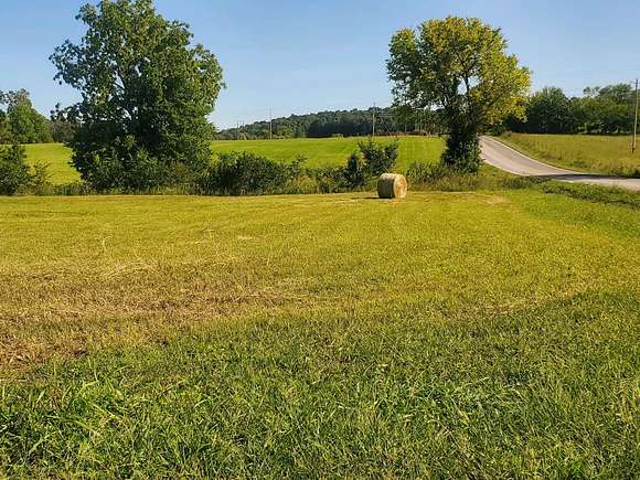 0.73 Acres of Commercial Land for Sale in Pleasant Hope, Missouri