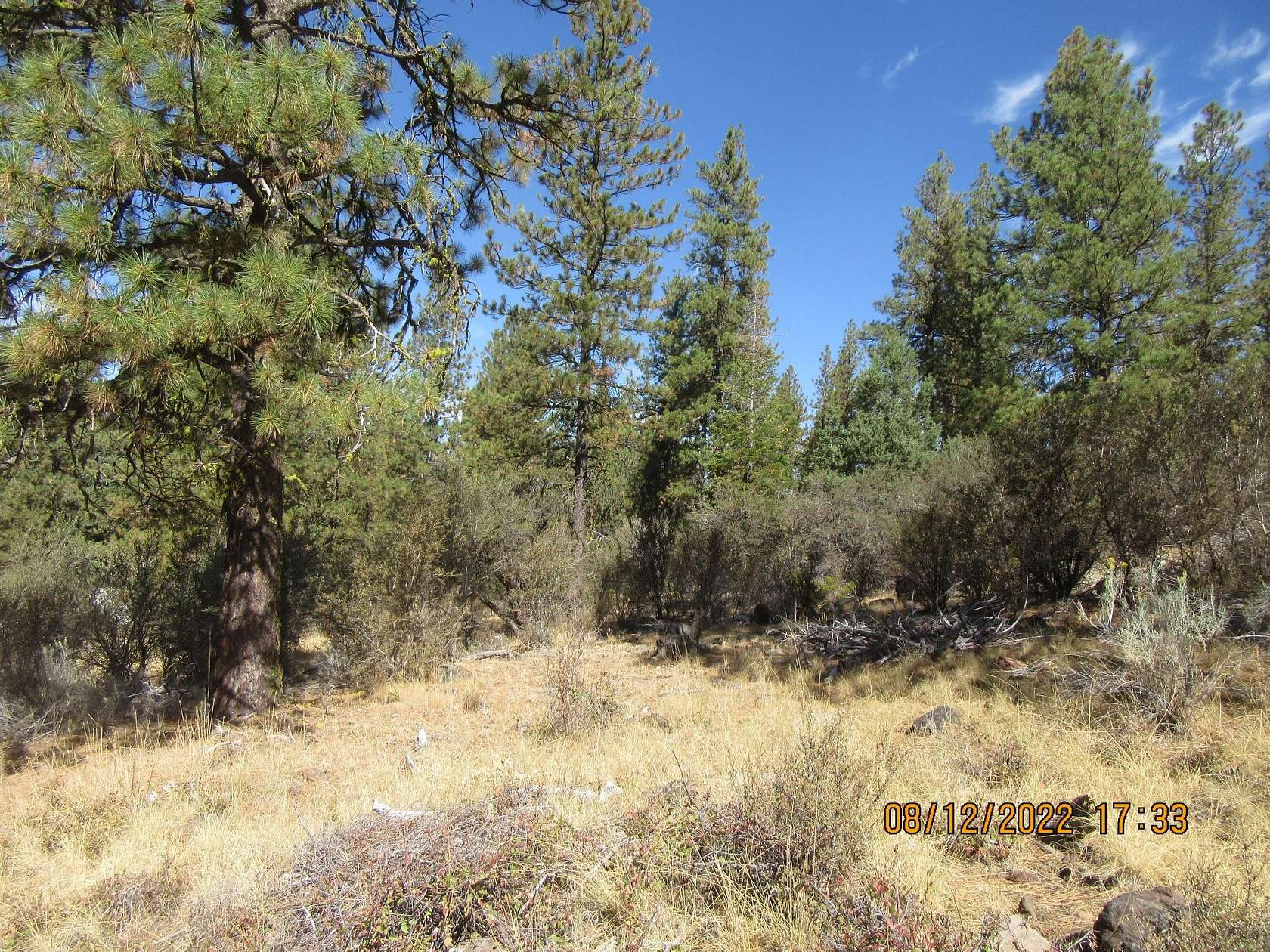 7.82 Acres of Residential Land for Sale in Bonanza, Oregon