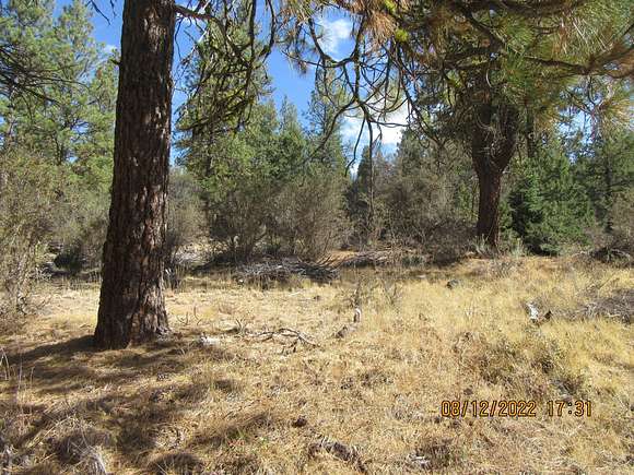 5.4 Acres of Residential Land for Sale in Bonanza, Oregon