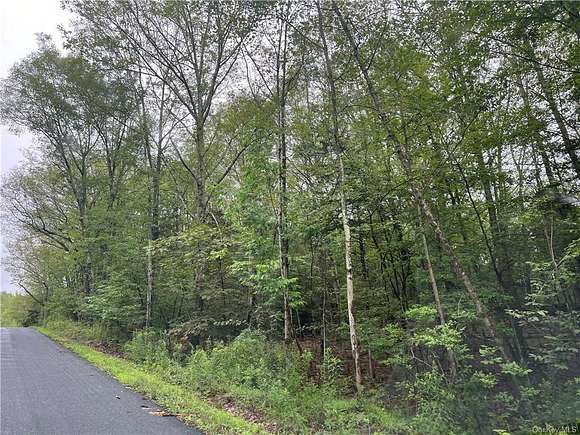 4.5 Acres of Residential Land for Sale in Middletown, New York