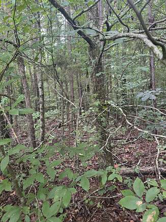 0.69 Acres of Residential Land for Sale in Dunlap, Tennessee