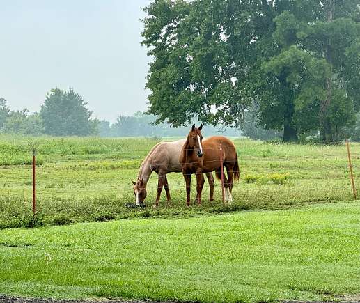 90 Acres of Land with Home for Sale in Charleston, Arkansas