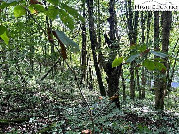 1.02 Acres of Residential Land for Sale in Newland, North Carolina