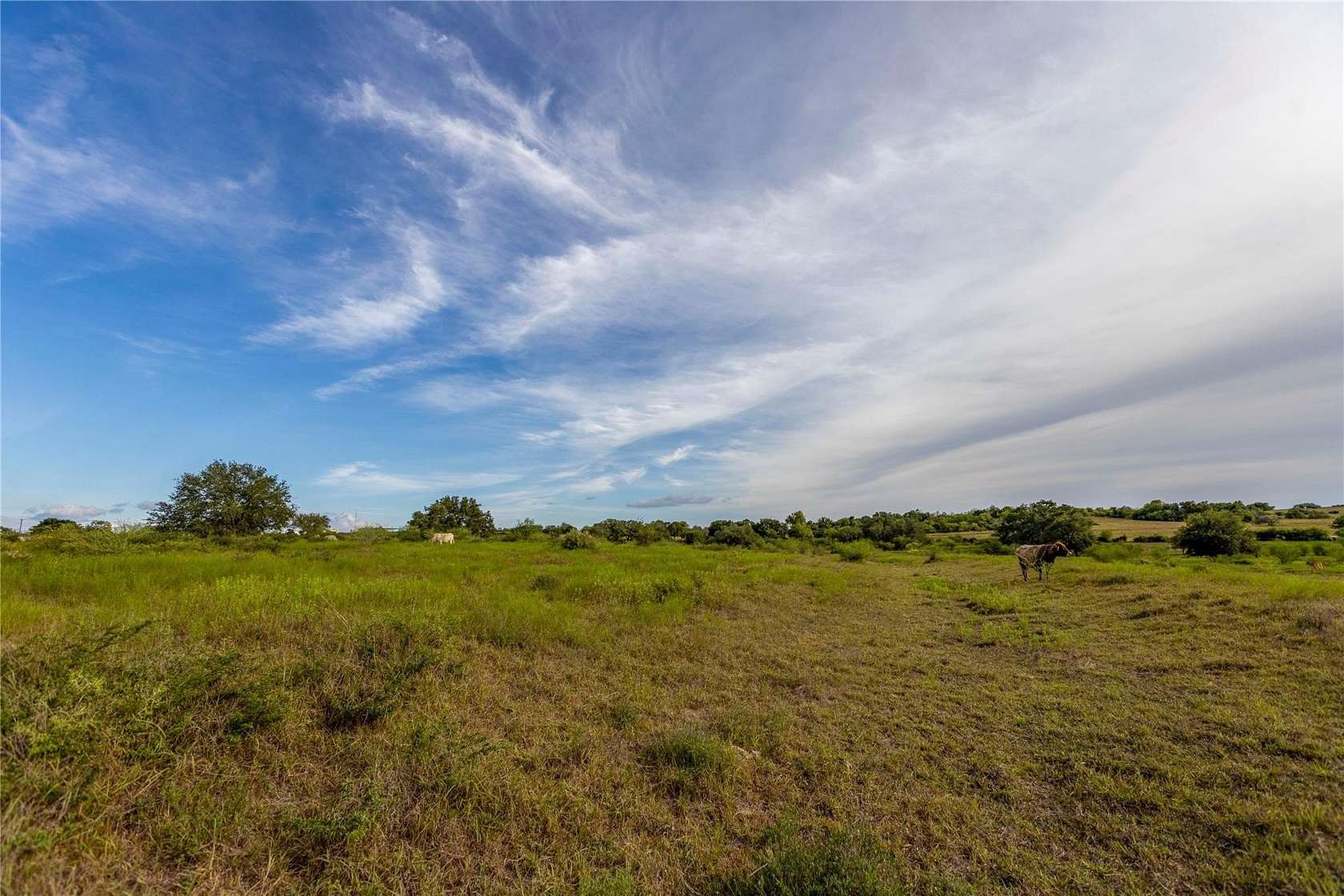 18.5 Acres of Land for Sale in Smiley, Texas - LandSearch