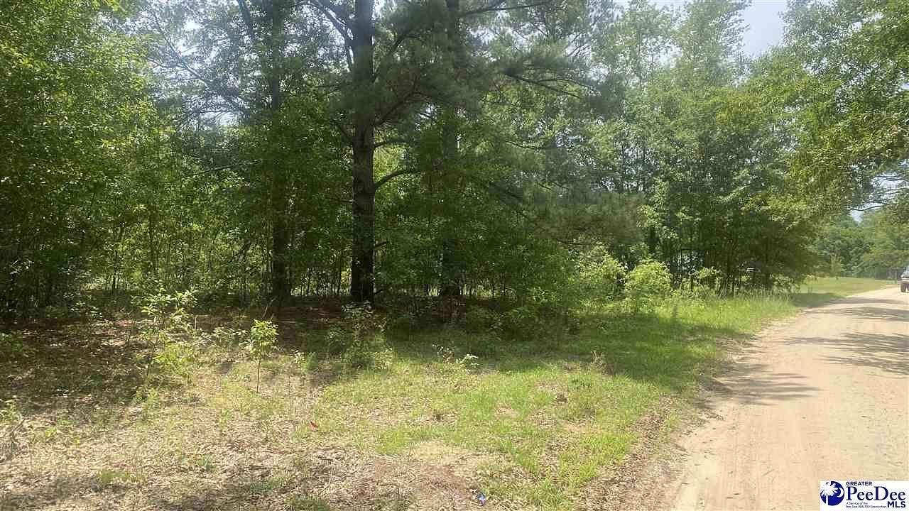 2.65 Acres of Residential Land for Sale in Marion, South Carolina