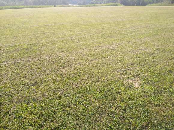 2 Acres of Residential Land for Sale in Steeleville, Illinois