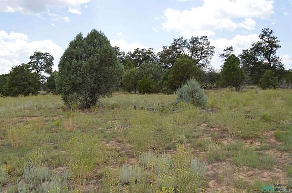 10 Acres of Recreational Land for Sale in Fence Lake, New Mexico