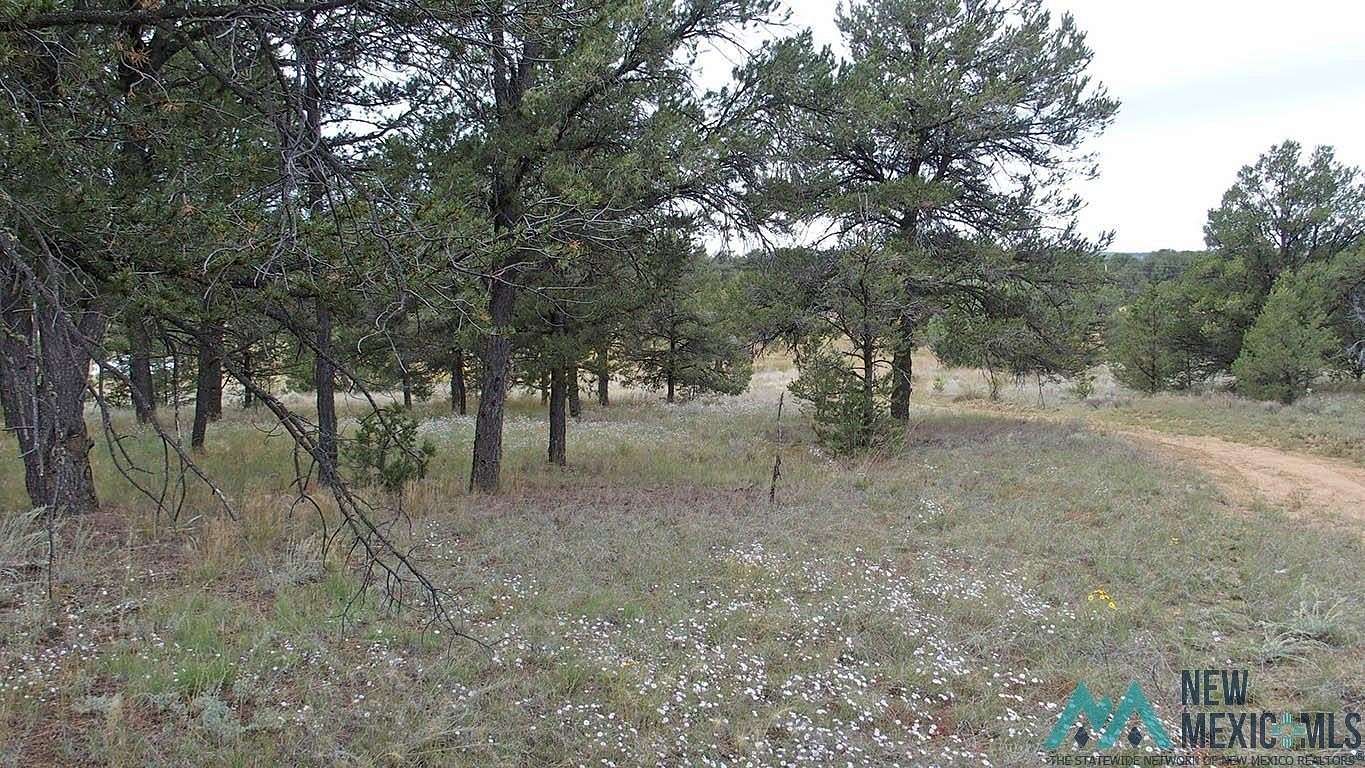 10 Acres of Residential Land for Sale in Pinehill, New Mexico