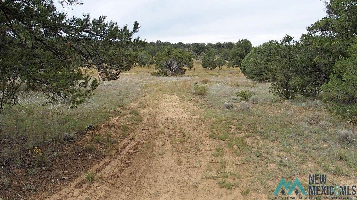 10 Acres of Residential Land for Sale in Pinehill, New Mexico