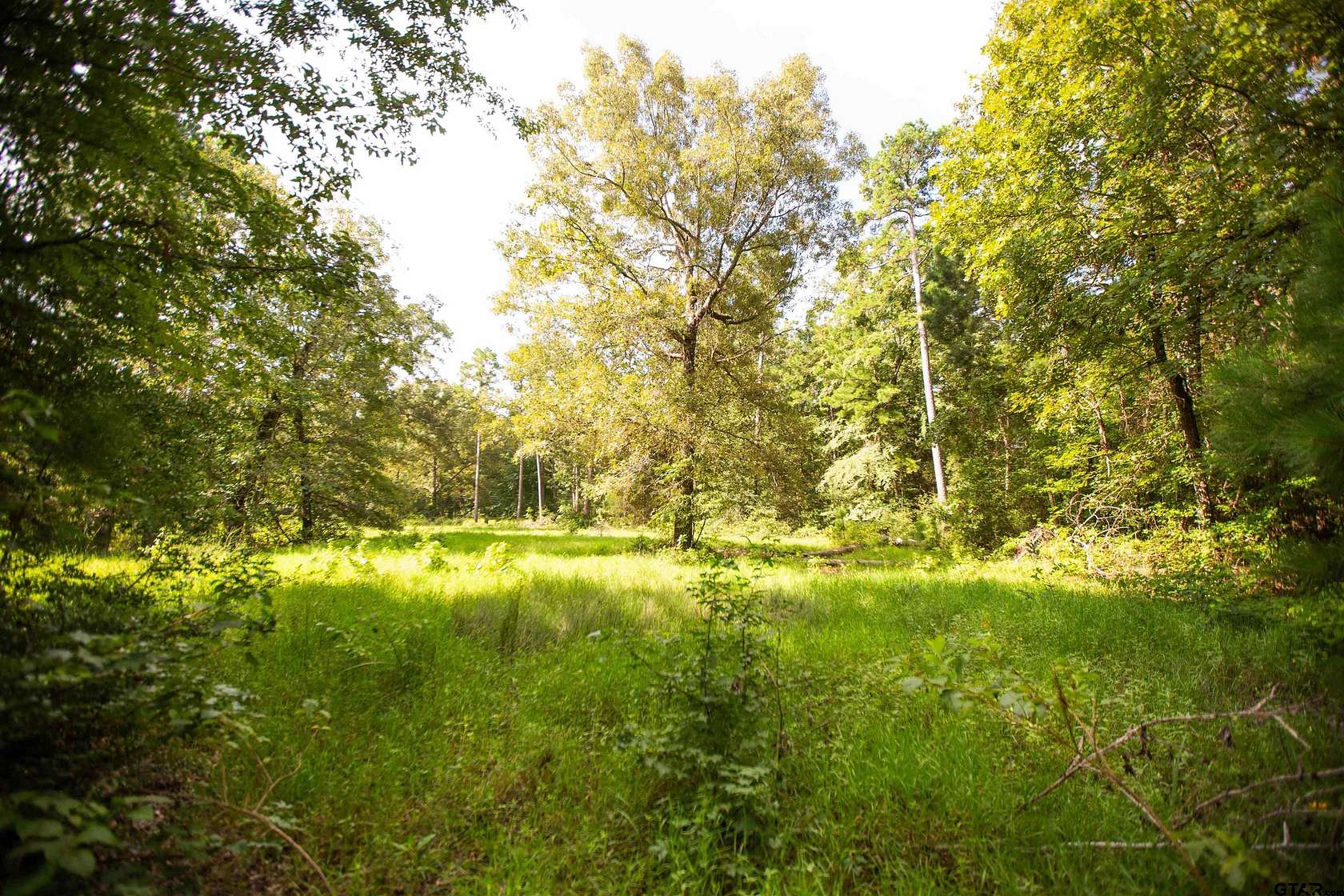 15.36 Acres of Recreational Land for Sale in Elkhart, Texas