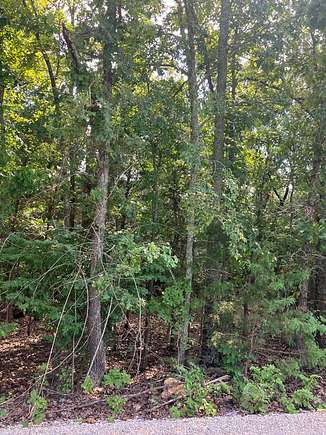 0.81 Acres of Residential Land for Sale in Mountain Home, Arkansas