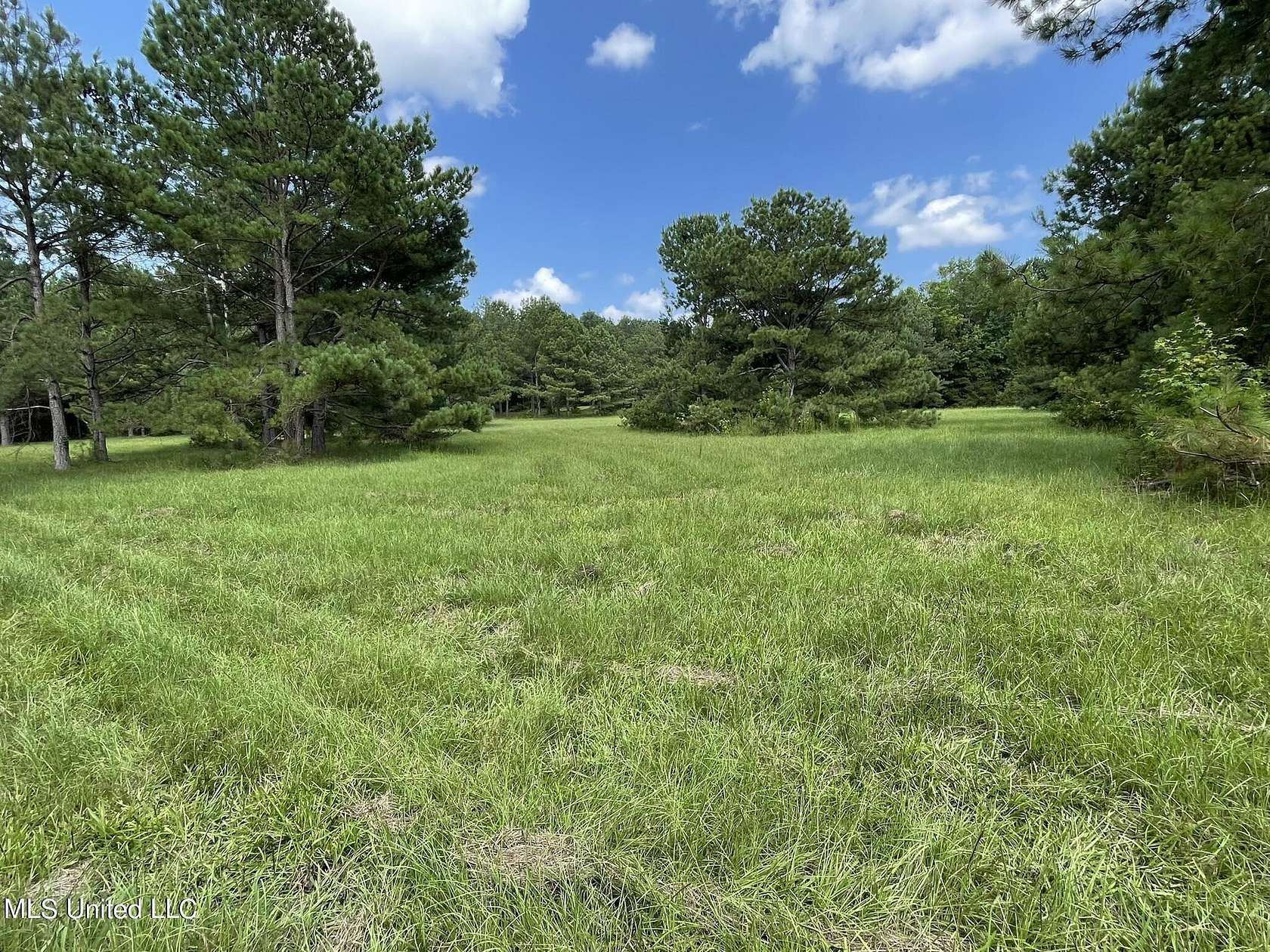 35.5 Acres of Land for Sale in Union, Mississippi