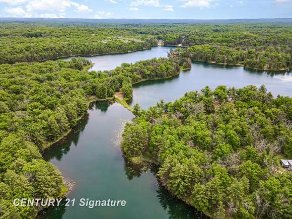 135.21 Acres of Recreational Land for Sale in Curran, Michigan