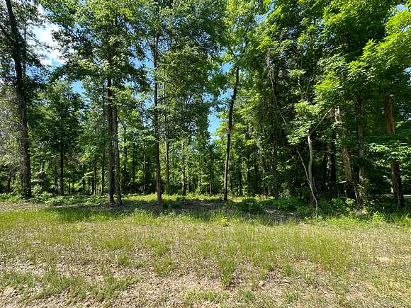 1 Acre of Residential Land for Sale in Abbeville, Alabama