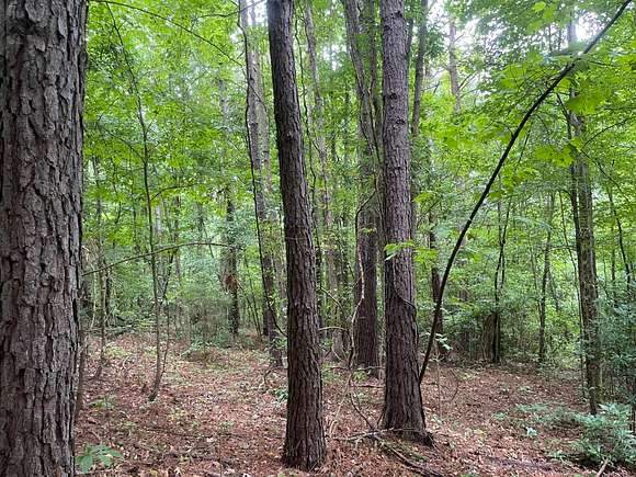 40 Acres of Land for Sale in Marion, Alabama