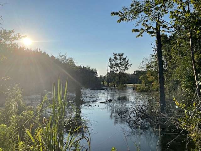 2,004 Acres of Recreational Land for Sale in Carthage, Texas