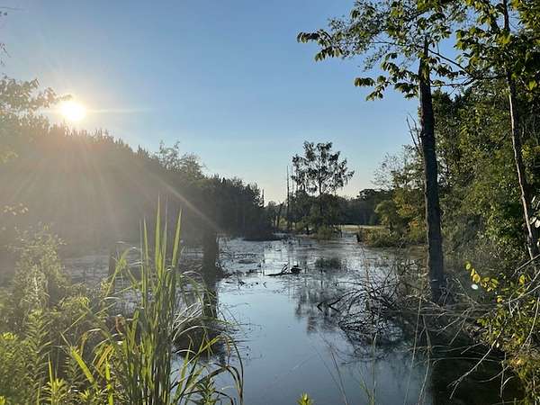 2,004 Acres of Recreational Land for Sale in Carthage, Texas