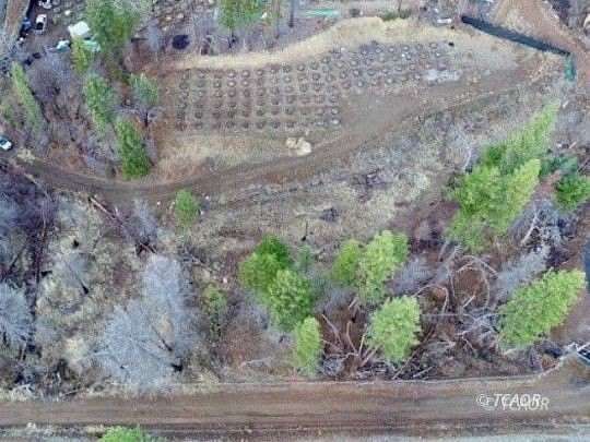 1.77 Acres of Residential Land for Sale in Hayfork, California