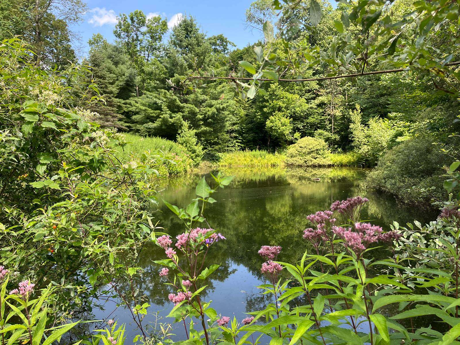 41.3 Acres of Recreational Land & Farm for Sale in Harrisville, New York