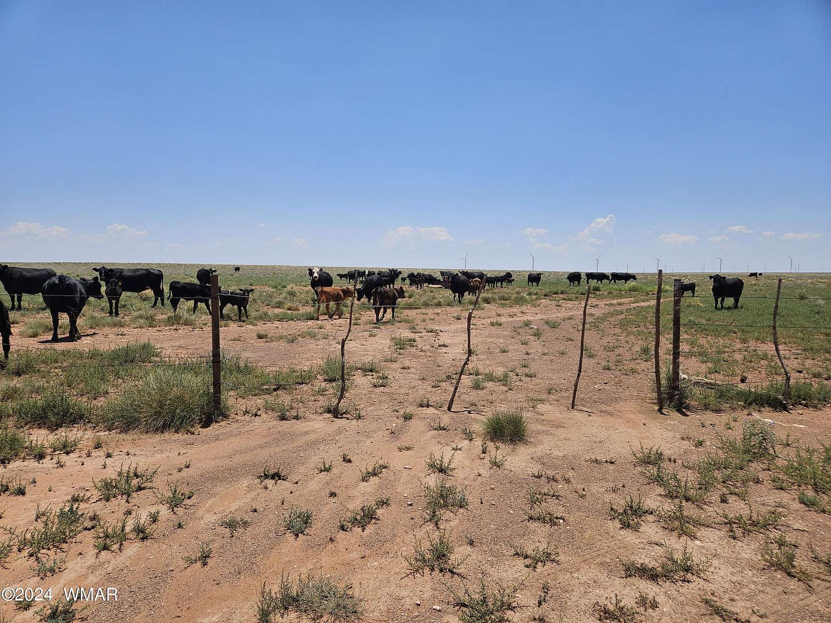 77.12 Acres of Recreational Land for Sale in Holbrook, Arizona